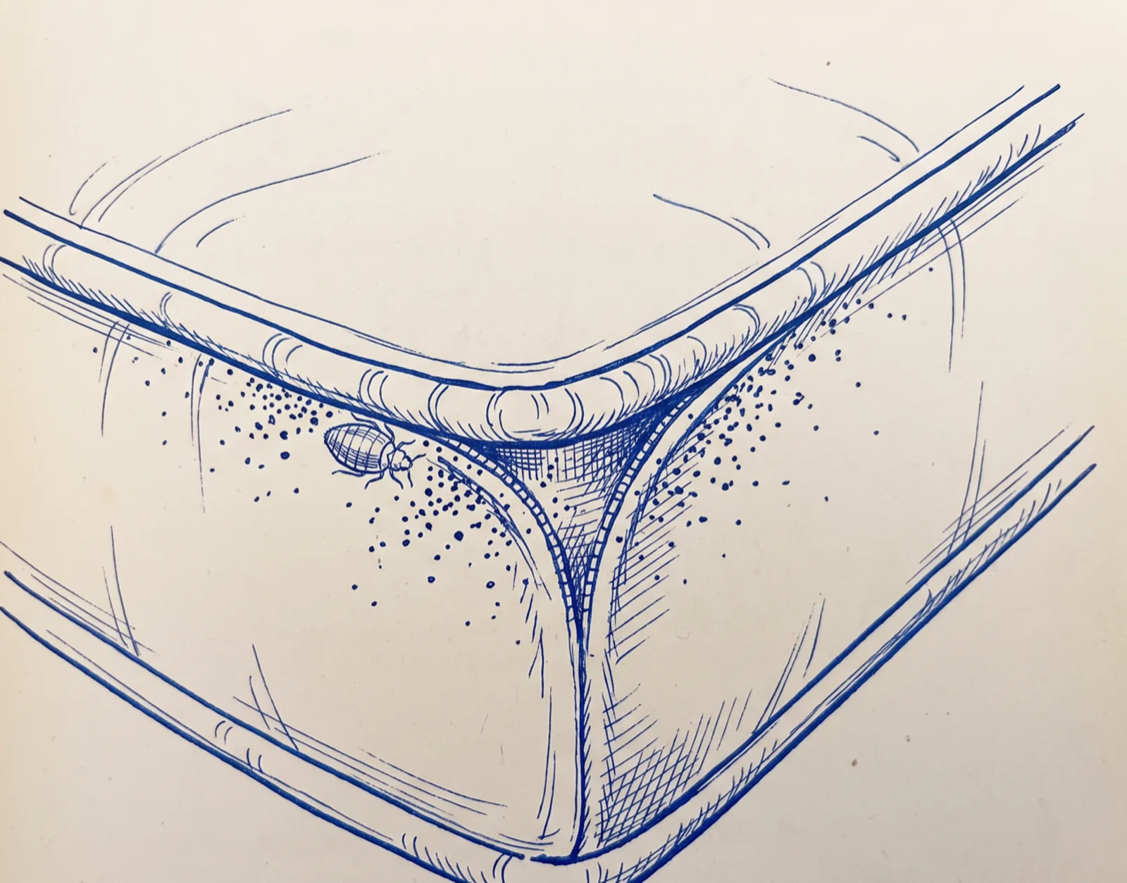 Diagram of a mattress seam with a bed bug in the fold and dark spotting along the piping