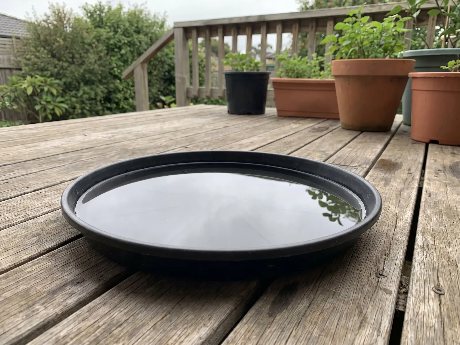 Rainwater collected in a plant-pot saucer on a back deck